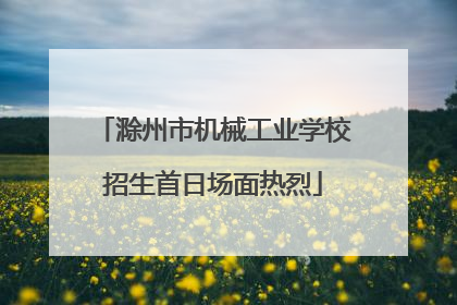 滁州市机械工业学校招生首日场面热烈