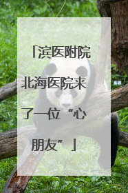 滨医附院北海医院来了一位“心朋友”