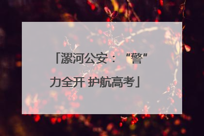 漯河公安：“警”力全开 护航高考