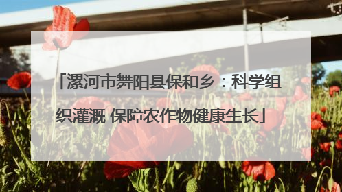 漯河市舞阳县保和乡：科学组织灌溉 保障农作物健康生长