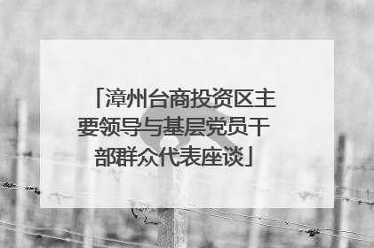 漳州台商投资区主要领导与基层党员干部群众代表座谈