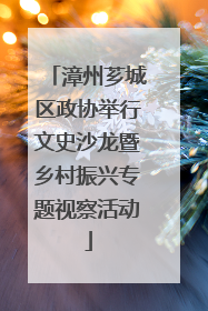 漳州芗城区政协举行文史沙龙暨乡村振兴专题视察活动