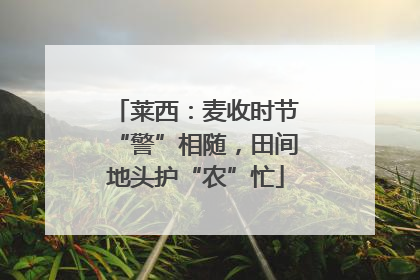 莱西：麦收时节“警”相随，田间地头护“农”忙