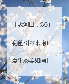 老河口：汉江荷韵引翠来 初夏生态美如画