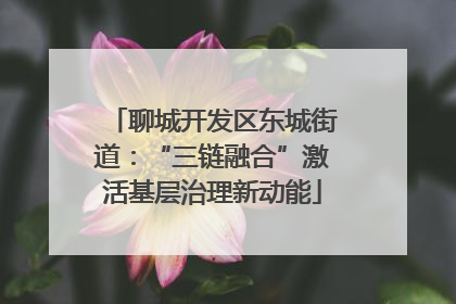 聊城开发区东城街道：“三链融合”激活基层治理新动能