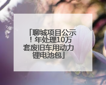 聊城项目公示！年处理10万套废旧车用动力锂电池包