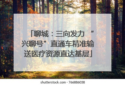 聊城：三向发力 “兴聊号”直通车精准输送医疗资源直达基层