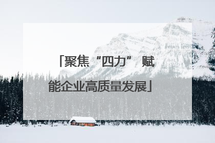 聚焦“四力” 赋能企业高质量发展