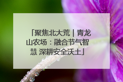 聚焦北大荒｜青龙山农场：融合节气智慧 深耕安全沃土