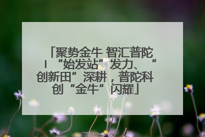 聚势金牛 智汇普陀〡“始发站”发力、“创新田”深耕，普陀科创“金牛”闪耀
