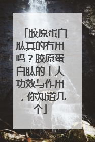 胶原蛋白肽真的有用吗？胶原蛋白肽的十大功效与作用，你知道几个