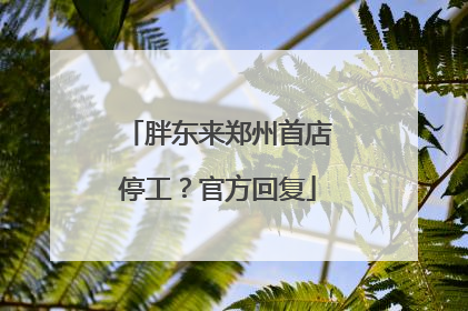 胖东来郑州首店停工？官方回复