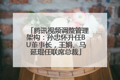 腾讯视频调整管理架构：孙忠怀升任BU董事长，王娟、马延琨任联席总裁