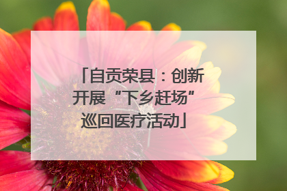 自贡荣县：创新开展“下乡赶场”巡回医疗活动