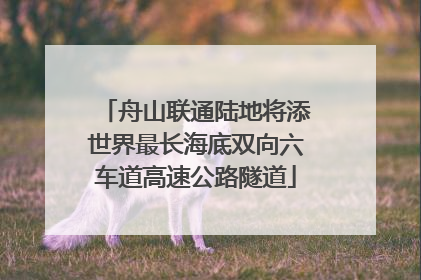 舟山联通陆地将添世界最长海底双向六车道高速公路隧道