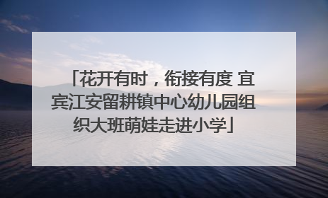 花开有时，衔接有度 宜宾江安留耕镇中心幼儿园组织大班萌娃走进小学