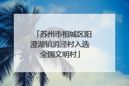 苏州市相城区阳澄湖镇消泾村入选全国文明村