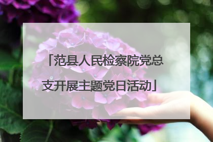 范县人民检察院党总支开展主题党日活动