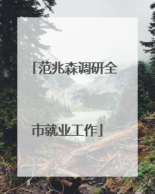 范兆森调研全市就业工作