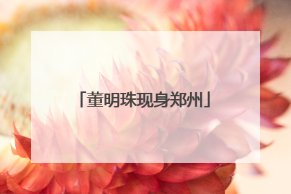 董明珠现身郑州