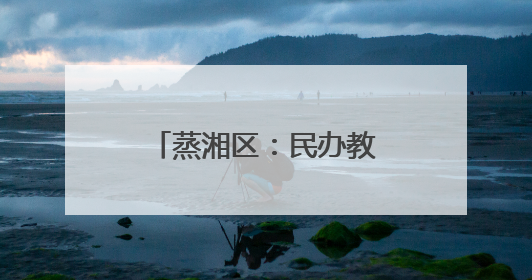 蒸湘区：民办教育要坚持党建引领、规范办学行为