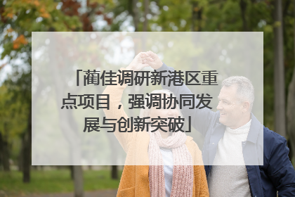 蔺佳调研新港区重点项目，强调协同发展与创新突破