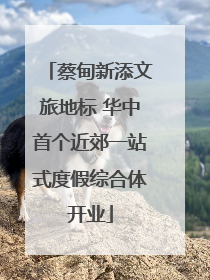 蔡甸新添文旅地标 华中首个近郊一站式度假综合体开业