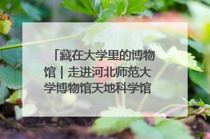 藏在大学里的博物馆｜走进河北师范大学博物馆天地科学馆：在校园里赴一场“宇宙之约”