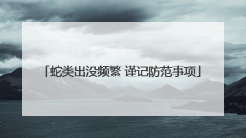 蛇类出没频繁 谨记防范事项