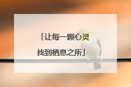 让每一颗心灵找到栖息之所