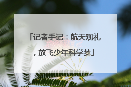 记者手记：航天观礼，放飞少年科学梦