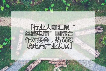 行业大咖汇聚“丝路电商”国际合作对接会，热议跨境电商产业发展