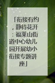 衔接有约，静待花开：福莱山街道中心幼儿园开展幼小衔接专题讲座