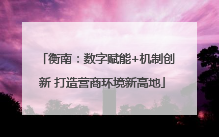 衡南：数字赋能+机制创新 打造营商环境新高地
