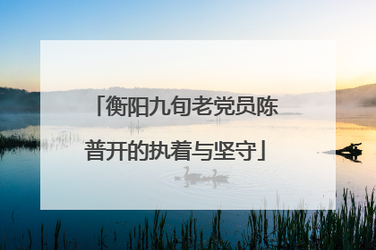 衡阳九旬老党员陈普开的执着与坚守