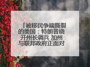 被移民争端撕裂的美国：特朗普绕开州长调兵 加州与联邦政府正面对抗丨封面头条