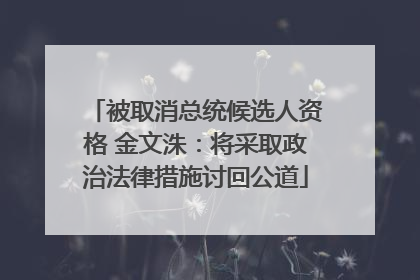 被取消总统候选人资格 金文洙：将采取政治法律措施讨回公道
