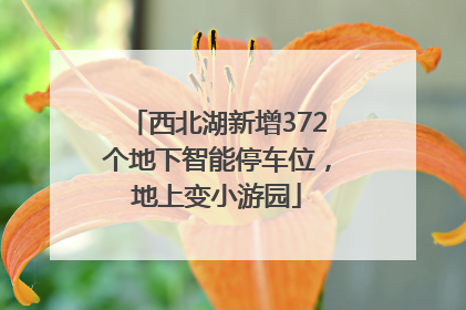 西北湖新增372个地下智能停车位，地上变小游园