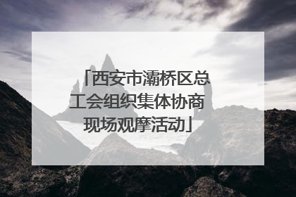 西安市灞桥区总工会组织集体协商现场观摩活动