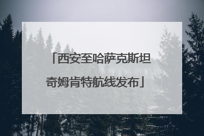 西安至哈萨克斯坦奇姆肯特航线发布