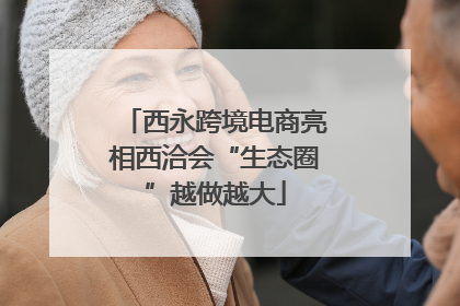 西永跨境电商亮相西洽会“生态圈”越做越大