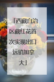 西藏自治区藏红花首次实现出口 远销加拿大