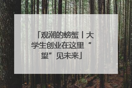 观潮的螃蟹丨大学生创业在这里“望”见未来