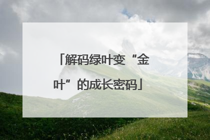 解码绿叶变“金叶”的成长密码
