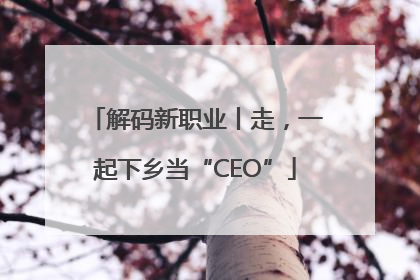 解码新职业丨走，一起下乡当“CEO”