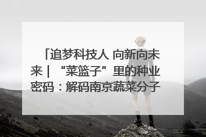 追梦科技人 向新向未来｜“菜篮子”里的种业密码：解码南京蔬菜分子育种的创新之路
