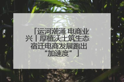 运河潮涌 电商业兴丨厚植沃土筑生态 宿迁电商发展跑出“加速度”