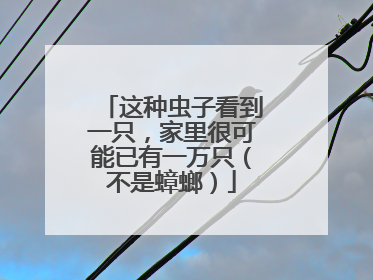 这种虫子看到一只，家里很可能已有一万只（不是蟑螂）