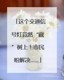 这个交通信号灯竟然“藏”树上！市民盼解决……