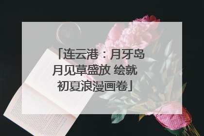 连云港：月牙岛月见草盛放 绘就初夏浪漫画卷